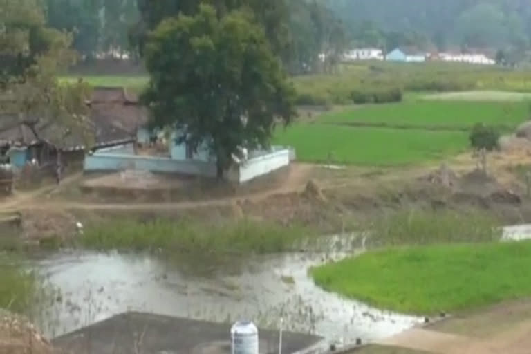 five-village-farmers-destroyed-crop-due-to-bursting-of-saro-dam