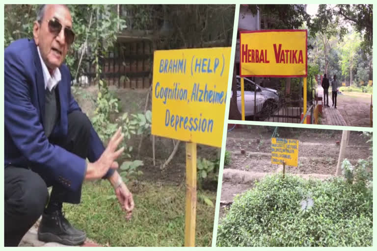 Amazing herbal park in noida helping people in curing disease