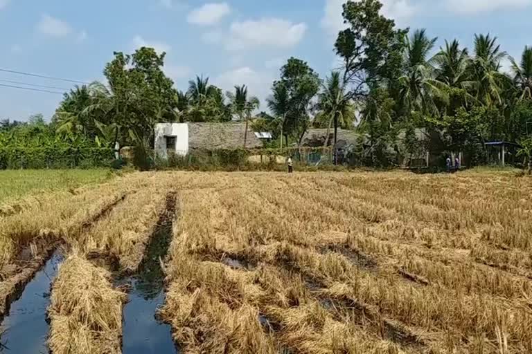 ongc oil leakage in thiruvarur farm land issue