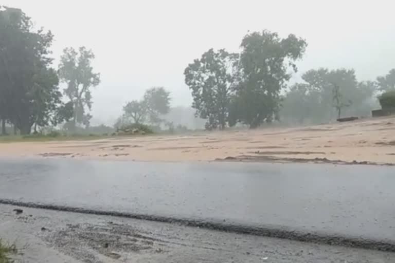 Heavy rain in gondia farmer in crisis