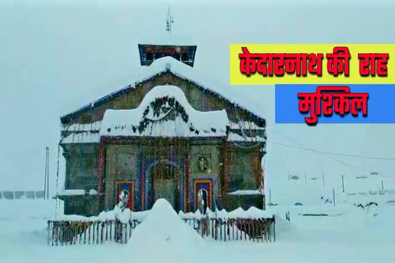 kedarnath