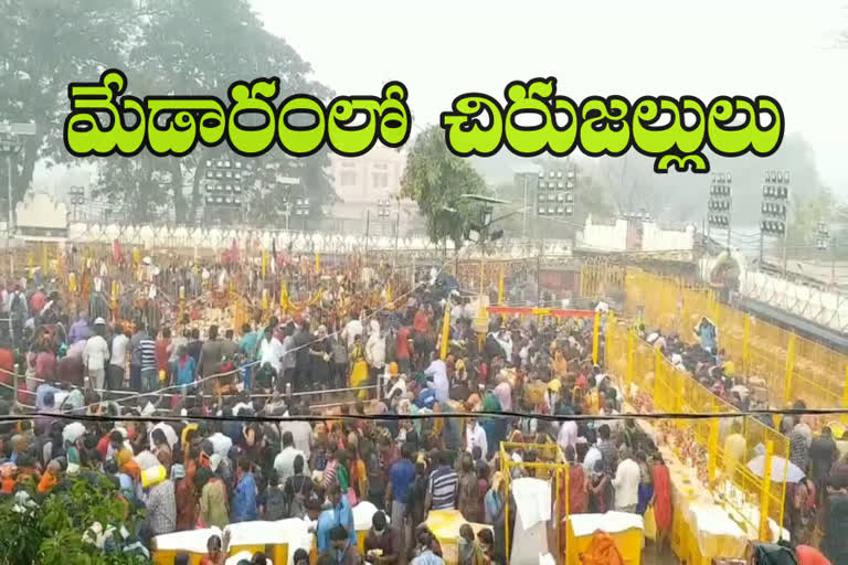 rainfall in medaram sammakka saralamma jatara