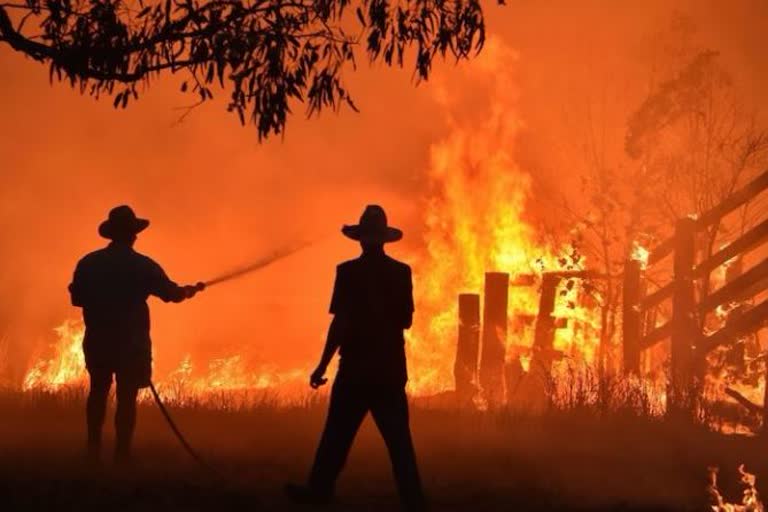 4charred to death in ahmedabad textile factory fire