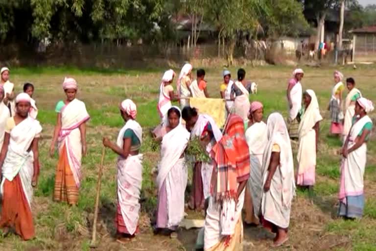 road repairing by women at amguri