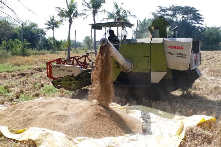 Paddy Purchase Station Scandal in thiruvarur