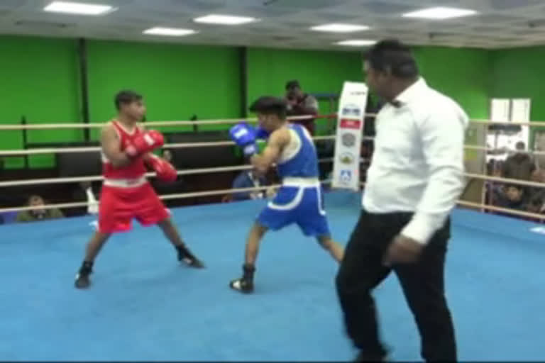 40 boxers to participate in North Zone boxing competition in Shimla