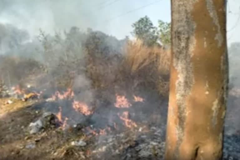 Fire on Calicut University Campus  കാലിക്കറ്റ് സർവ്വകലാശാല ക്യാമ്പസിൽ അഗ്നിബാധ  Calicut University Campus  Fire