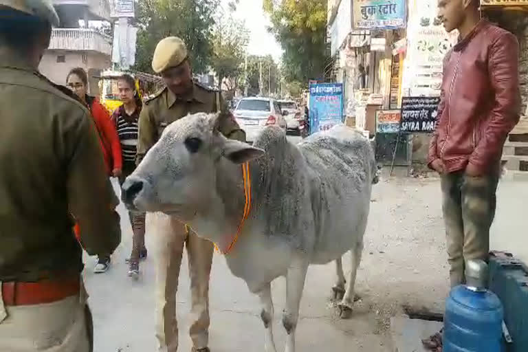 चूरू की खबर, road safety week in churu