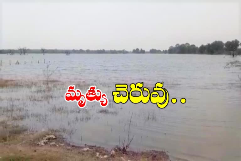 చెరువులో పడి ఇద్దరు విద్యార్థులు దుర్మరణం