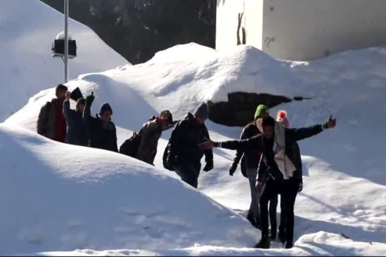 tourist enjoying snow in dalhousi