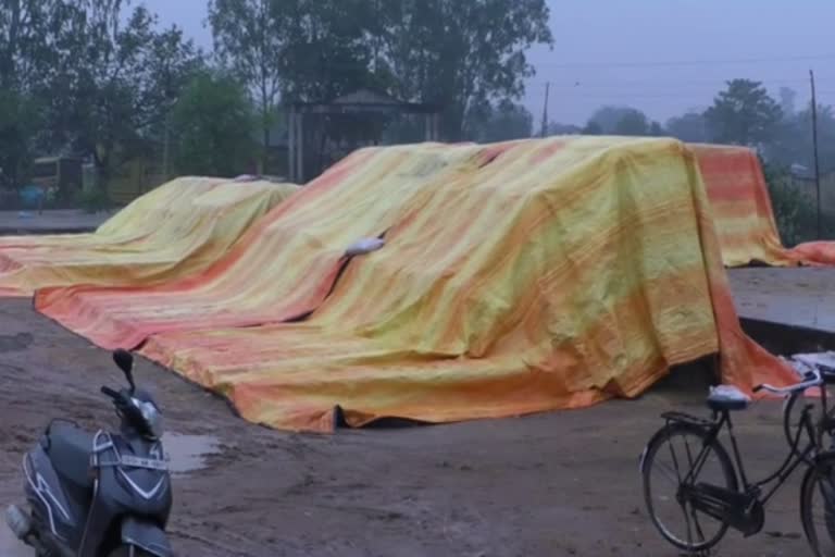 paddy getting wet due to rain in Pali procurment center of Korba