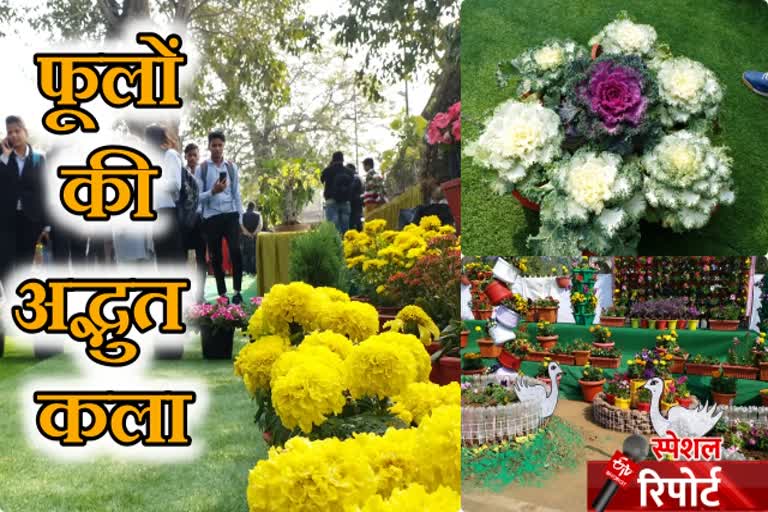 kota latest news, कोटा न्यूज, राजस्थान न्यूज, rajasthan news, Chambal Biodiversity Festival,  चंबल बायोडायवर्सिटी फेस्टिवल, फ्लावर शो, flower show in kota,