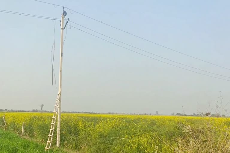 Wire of high-tension line fall down, भरतपुर में विद्युत तार गिरा