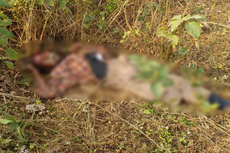 Goalpara Elephant killed a old man