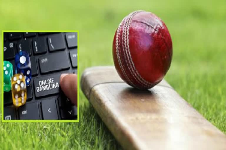 cheating of online cricket betting case one arrested