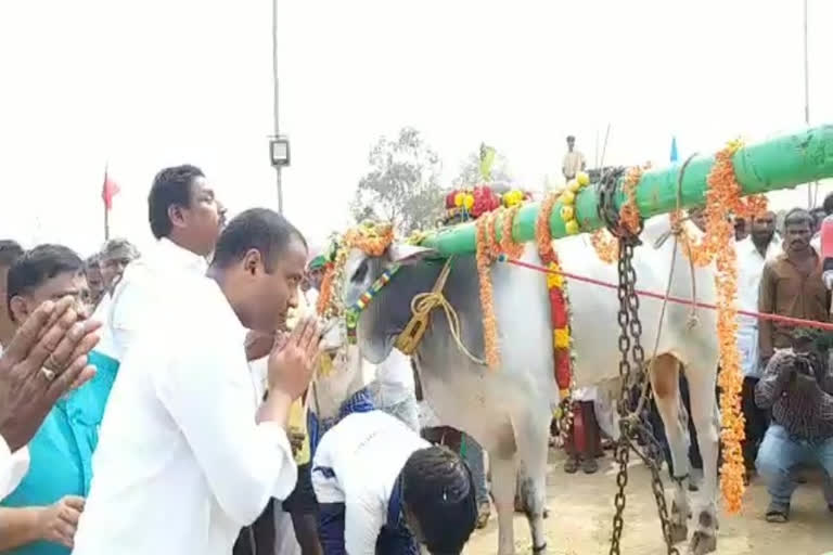 sricowdeshwari festival celebrations