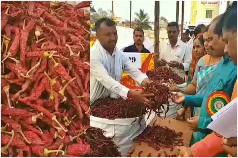 Dry Chilli Fest held in Hubli