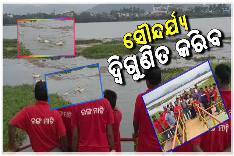 jeypore-rangamati-group-started-clean-jagannath-sagar programme