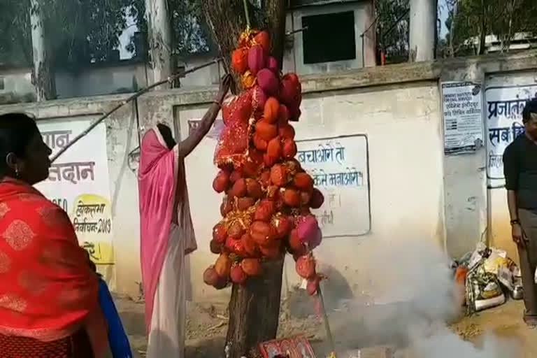 neem-tree-becomes-the-center-of-faith