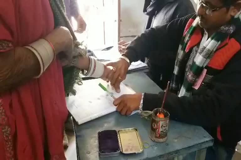 राजस्थान न्यूज, पाली न्यूज, Pali panchayat election, pali news