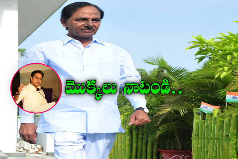 ముఖ్యమంత్రి పుట్టినరోజుకు మొక్కలు నాటండి: కేటీఆర్​