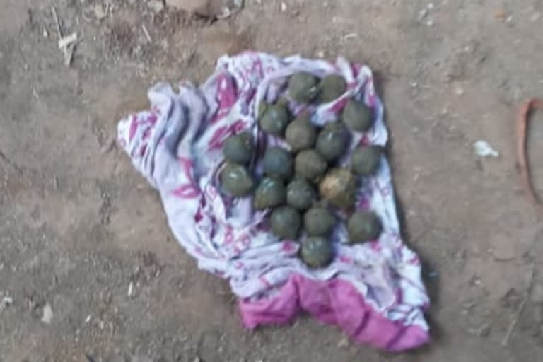 Bombs found in village Kushivade in Chiplun