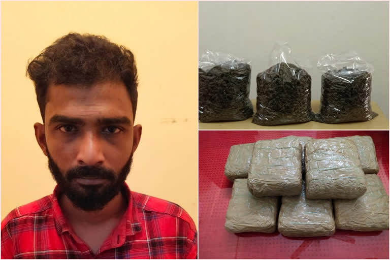 16 കിലോ കഞ്ചാവുമായി യുവാവ് പിടിയിൽ  railway police  തീവണ്ടി  cannabis in palakkad  cannabis  palakkad latest news  ചെന്നൈ മംഗലാപുരം എക്‌സ്‌പ്രസ്സ്