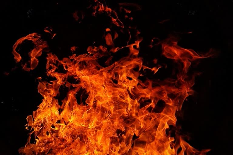 maharashtra woman set ablaze