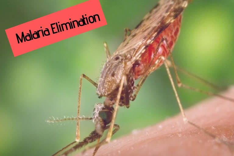 malaria elimination