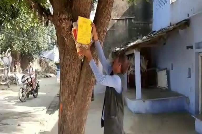 tree-has-been-working-as-a-post-office-for-a-long-time-in-sheopur