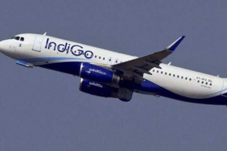 IndiGo pilot suspended for 3 months for threatening wheelchair-bound senior citizen in flight