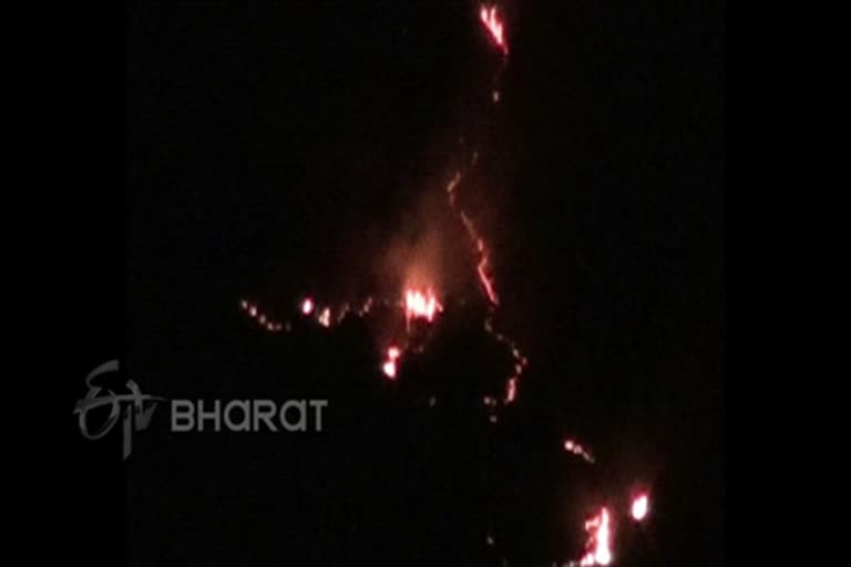 Forest fire in theni