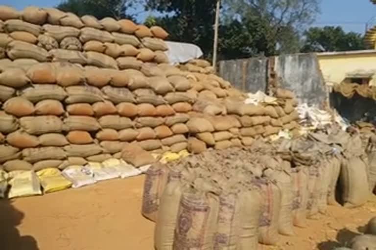 large stock of paddy in bastar