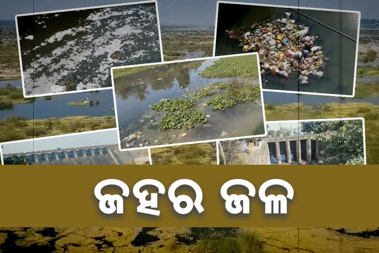 mahanadi-pollution