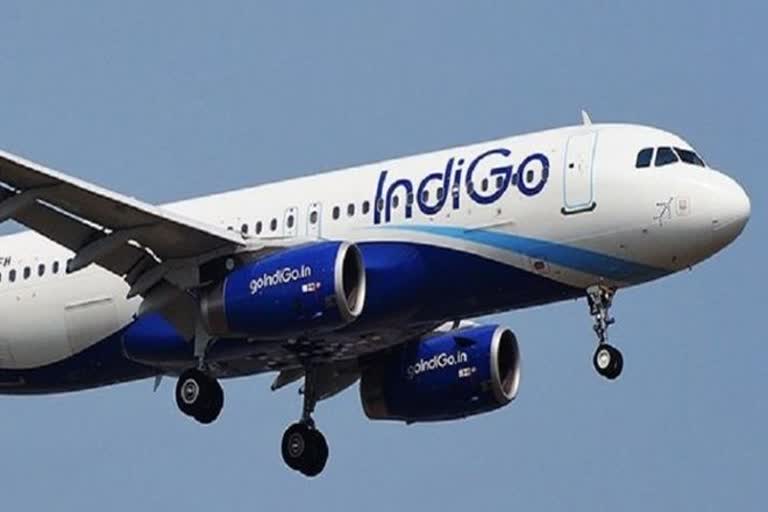 IndiGo announces special Valentine sale