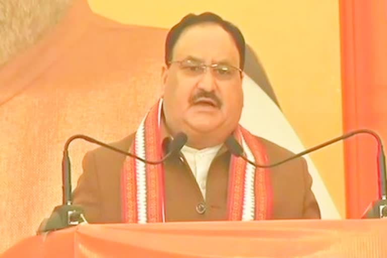 BJP accepts the mandate of the people: BJP chief JP Nadda'