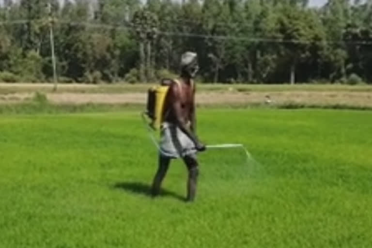 Ten years later rain-fed agriculture