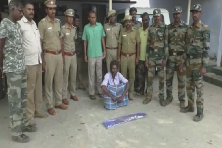 one person arrested in Coimbatore for hunt crocodile  கோவையில் முதலை வேட்டை  பவனியாற்றில் முதலை வேட்டை