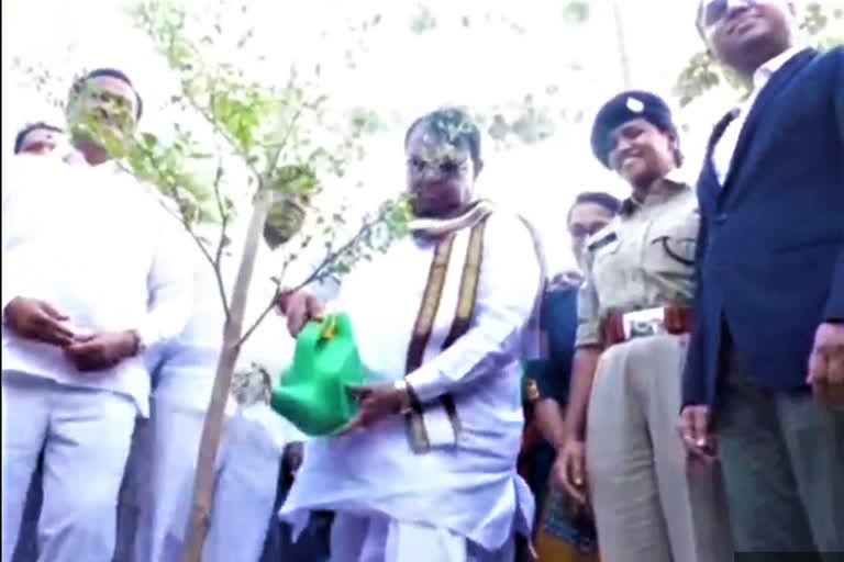 SPEAKER POCHARAM SRINIVAS REDDY PARTICIPATED IN HARITHAHARAM IN KAMAREDDY