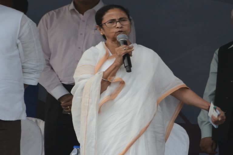 Mamata