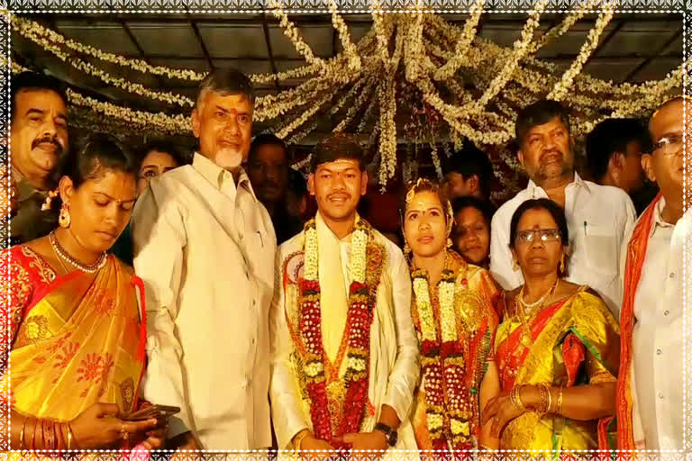 tdp president chandrababu naidu attended telangana mla mecha nageshwara rao son's wedding