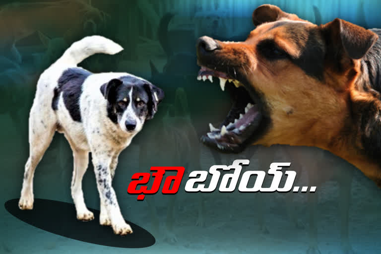 STREET DOGS ATTACKING ON CHILDREN IN HYDERABAD