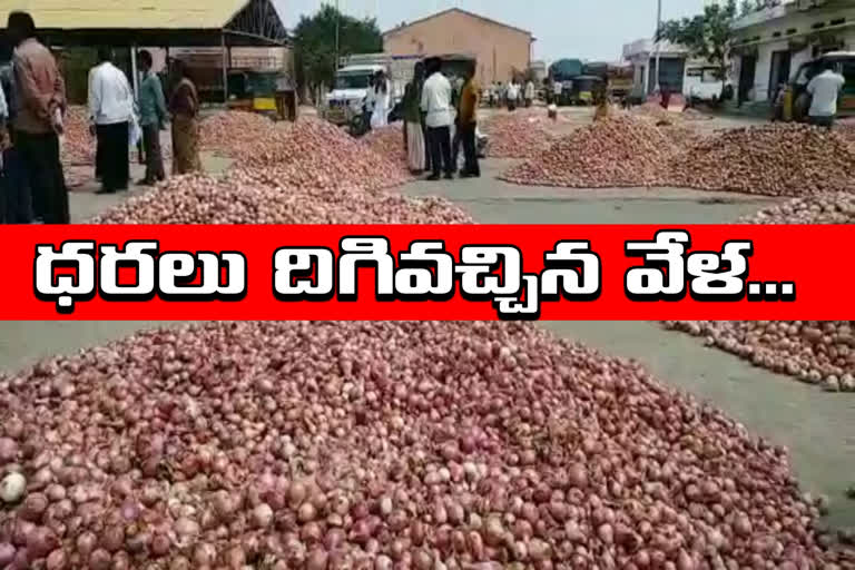 onions price