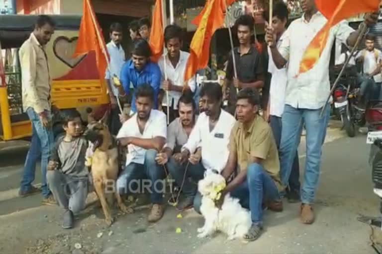 நாய்களுக்கு திருமணம்  பாரத் சேனா நாய் திருமணம்  Bharat Sena marries dogs in opposition to Valentine's Day  dogs marriage bhart sena