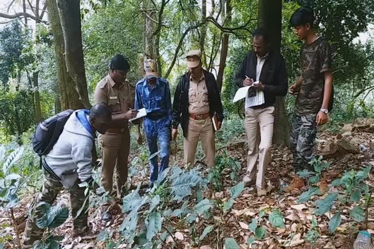 nilgiris at coonoor forest officers indulged in animal census work!