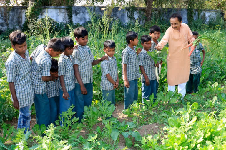 a teacher Planting vegetables himself and serving nutritious food at mid meal