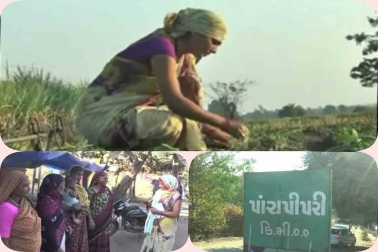 Women are doing organic farming in Sagbara village of Narmada