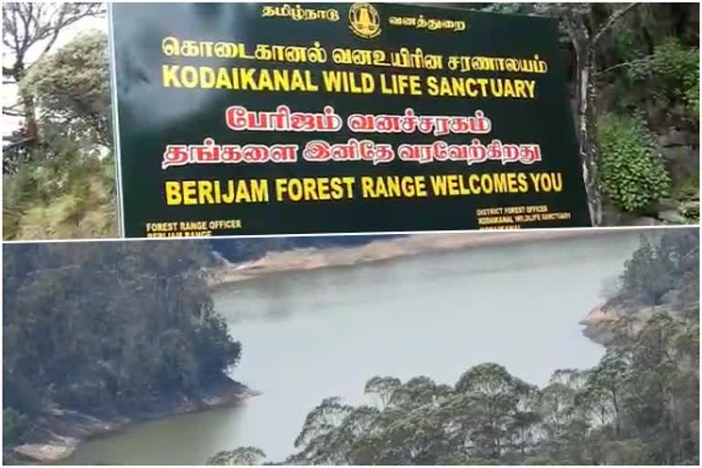 Kodaikanal perijam bridge