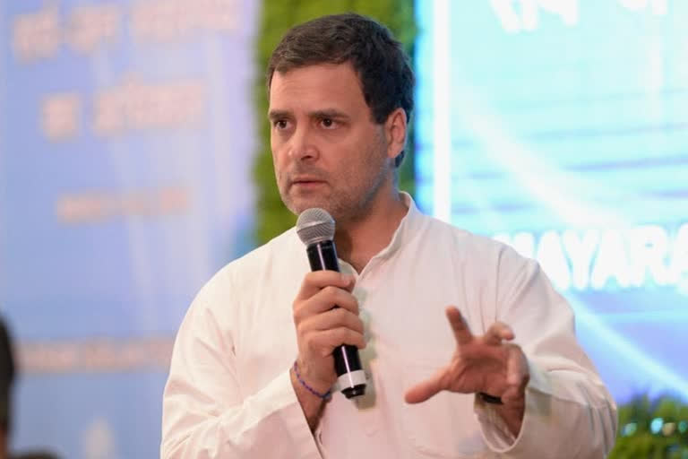 राहुल