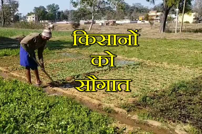 Electricity department will provide electricity to farmers in a low rate  in lohardaga